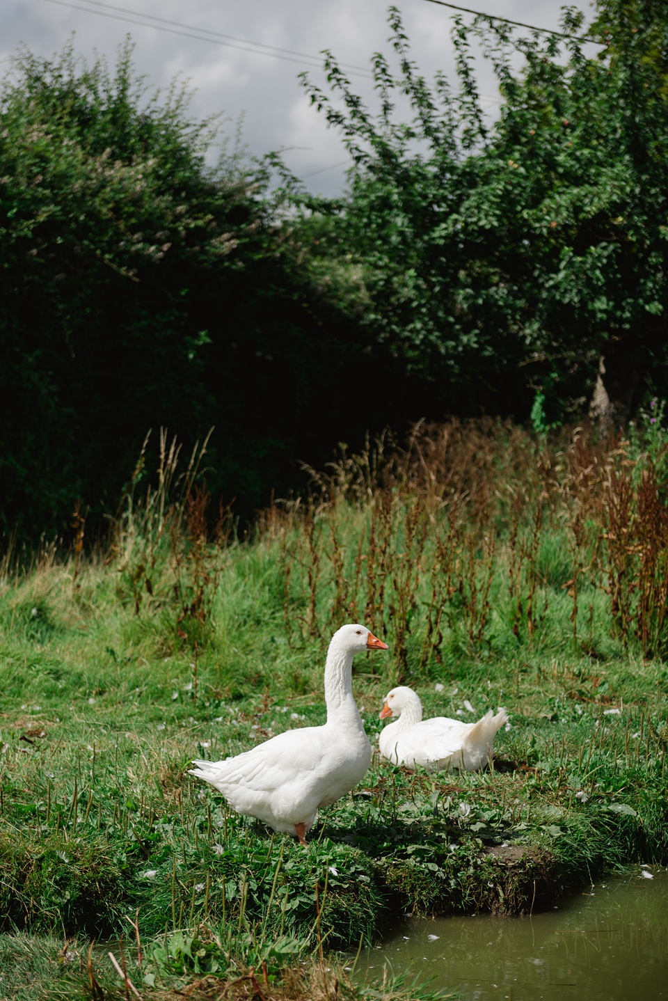 Somerset Wedding Photography,Frome Wedding Photographer