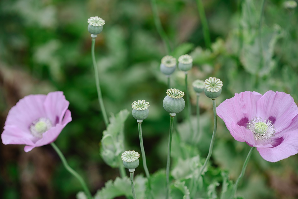 Somerset Wedding Photography,Frome Wedding Photographer